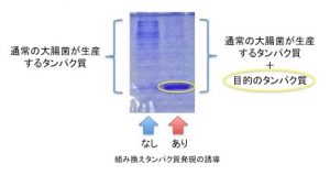 実験２－５