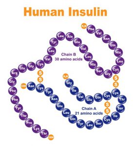 13207592 - human insulin. stylized chemical structure.