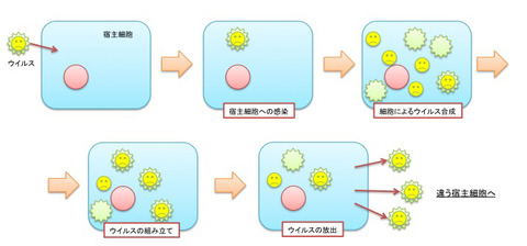 ウイルス