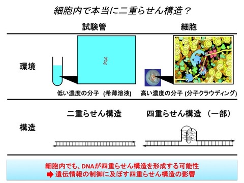 タウン２