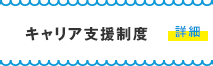 キャリア支援制度